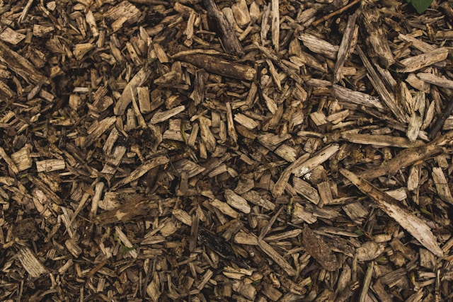 Wood Chips are an Eco-Friendly Solution for Sustainable Energy Needs