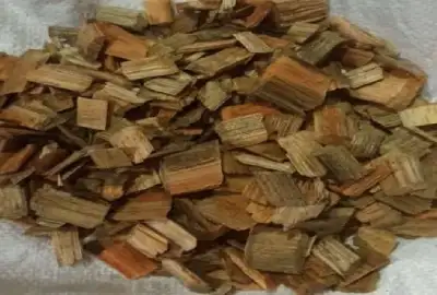 WOOD CHIP FOR PULP MILL