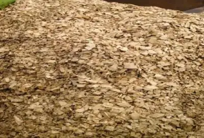 WOOD CHIP FOR BIOMASS